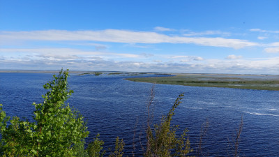20220530_080912.jpg