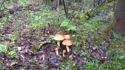 20230831_084400.jpg